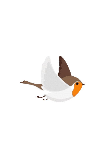 Cute bird flying