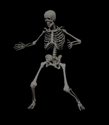 OrthoTrace App